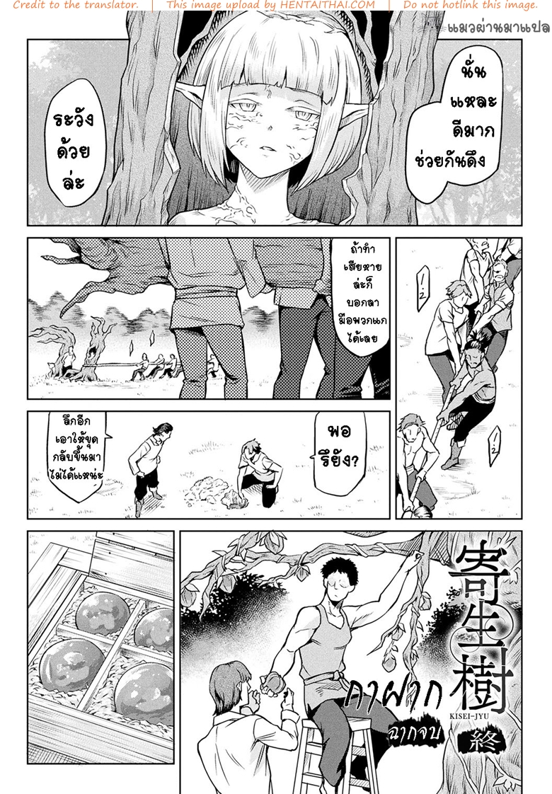 กาฝาก 4 จบ