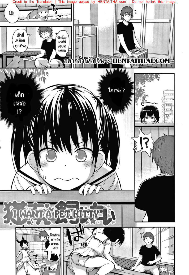 ก็ฉันอยากเลี้ยงแมวนี่นา