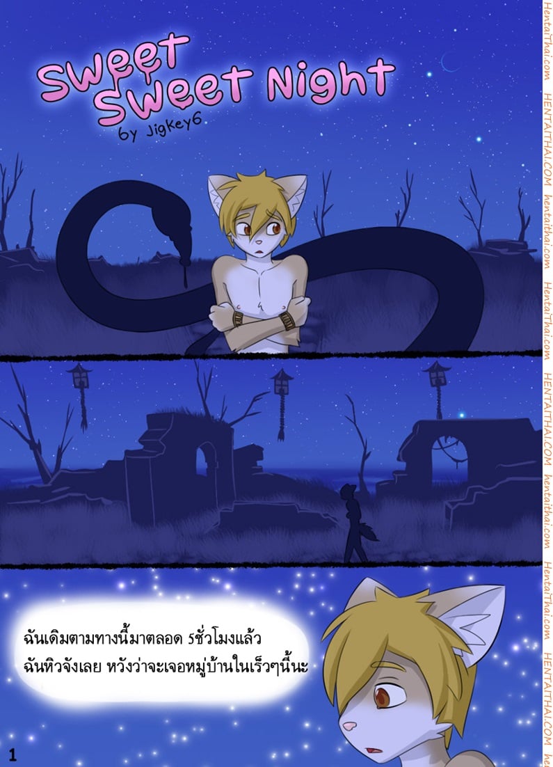 à¸„à¸·à¸™à¹à¸ªà¸™à¸«à¸§à¸²à¸™
