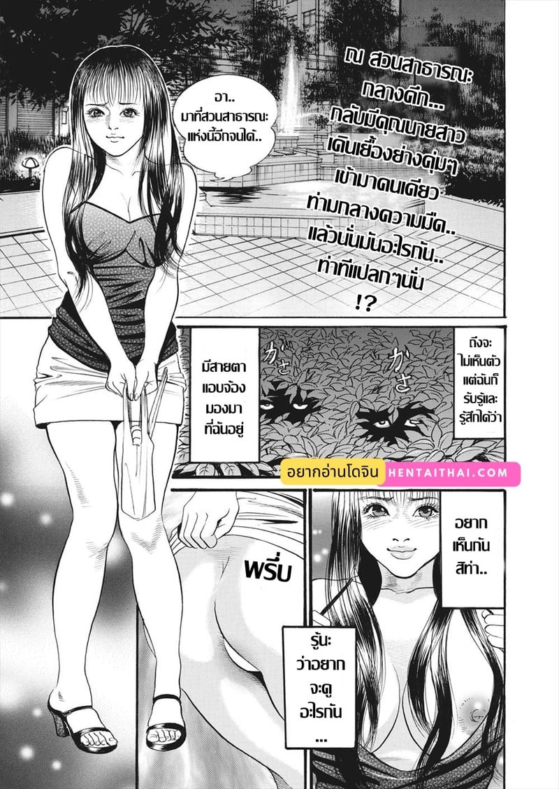 คุณนายของขาด กับค่ำคืนในสวนสาธารณะ