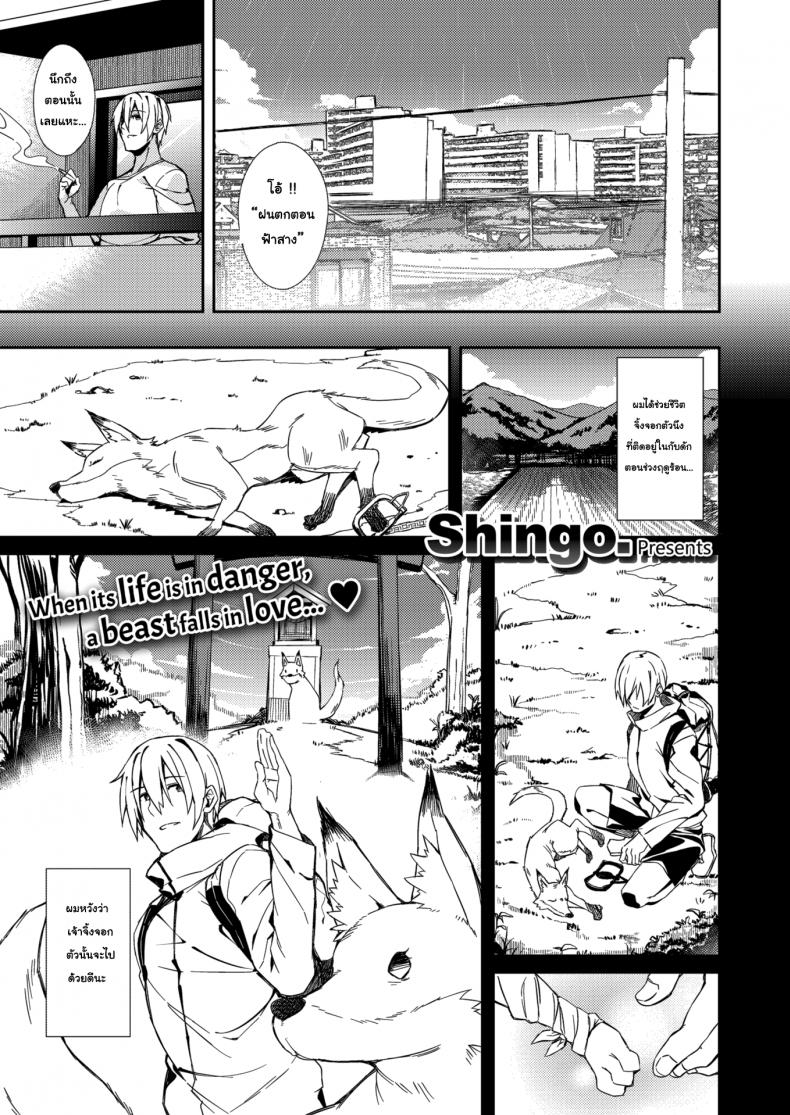 à¸ˆà¸´à¹‰à¸‡à¸ˆà¸­à¸à¸‚à¸­à¸•à¸­à¸šà¹à¸—à¸™ [Shingo] A Fox's Requitail