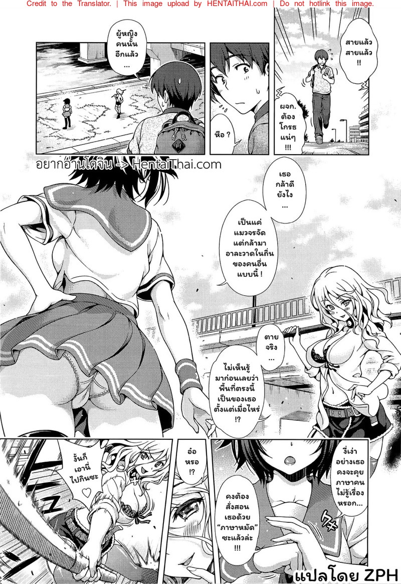 จุดวิกฤตของอาโออิ