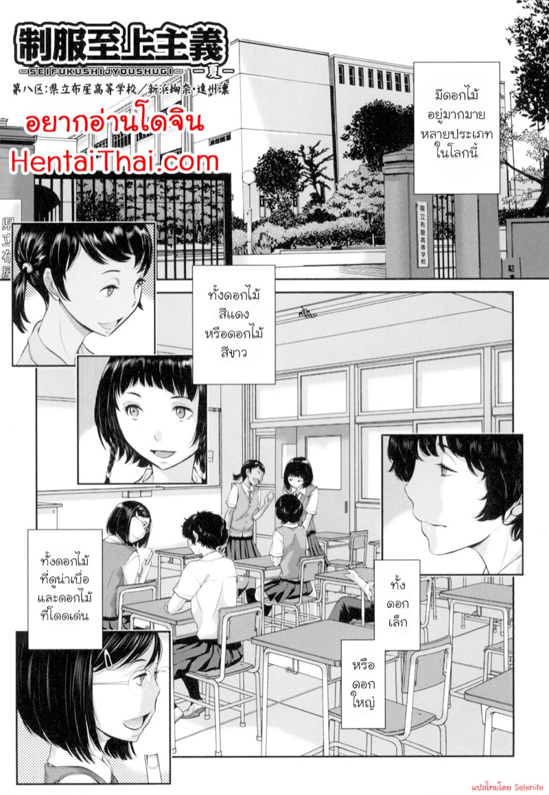 à¸Šà¸¡à¸£à¸¡à¸ˆà¸±à¸”à¸”à¸­à¸à¹„à¸¡à¹‰