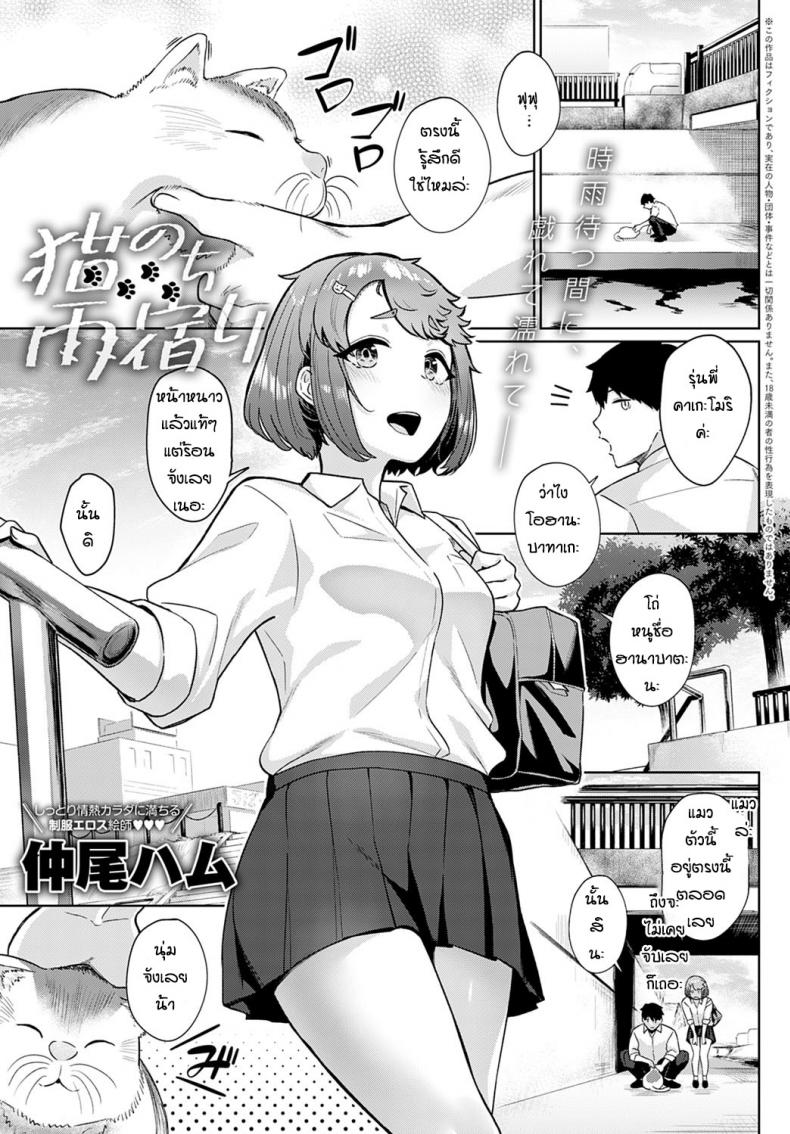 à¸Šà¸­à¸šà¹à¸¡à¸§à¹à¸¥à¹‰à¸§à¸à¹‡à¸Šà¸­à¸šà¸£à¸¸à¹ˆà¸™à¸žà¸µà¹ˆà¸”à¹‰à¸§à¸¢ [Nakao Ham] Neko no chiamayadori