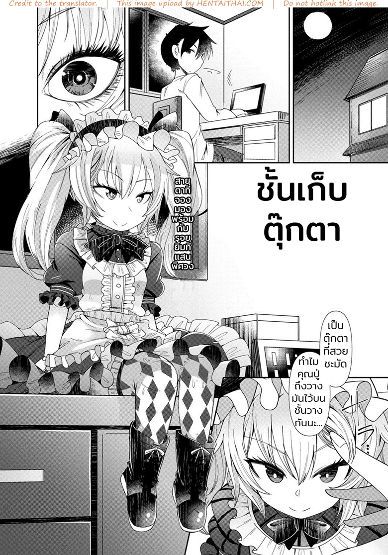 ชั้นเก็บตุ๊กตา