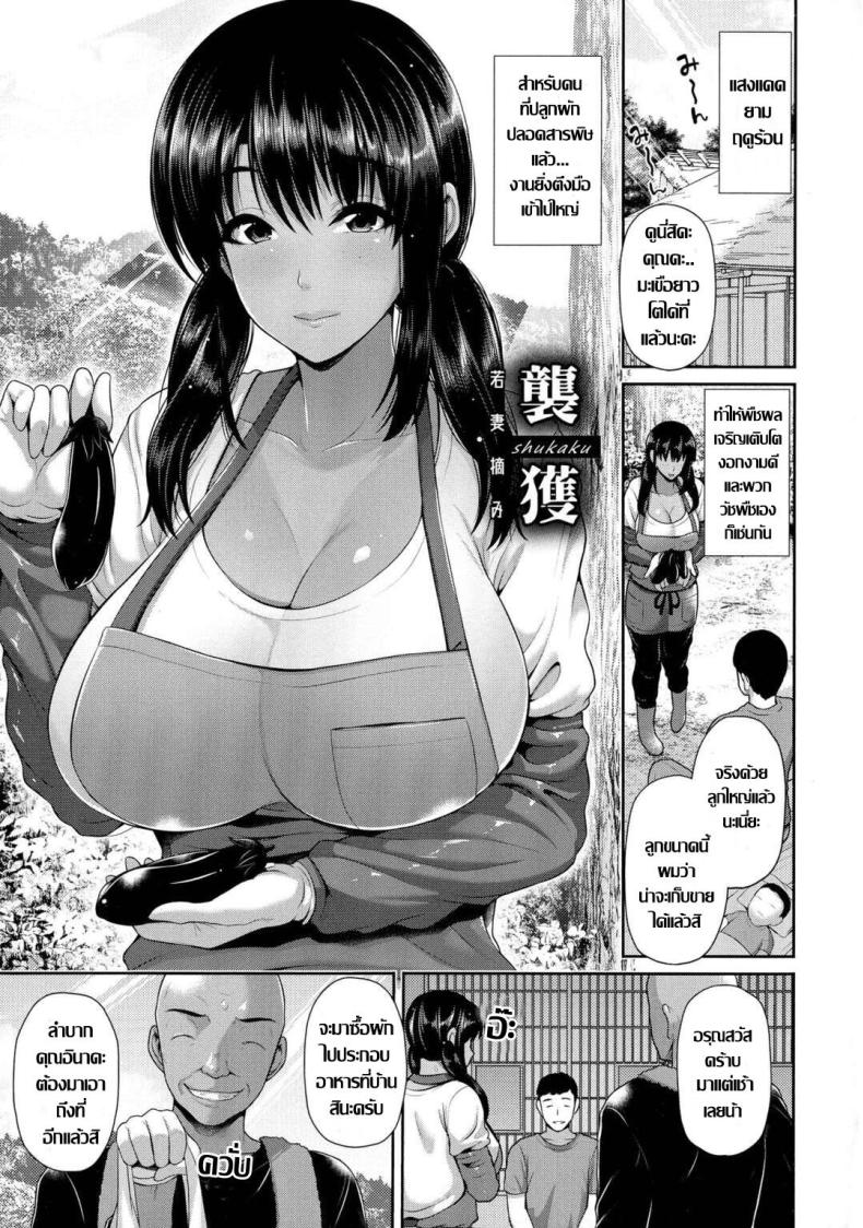 ชั้นเชิงขิงแก่ ไม้เด็ดสอยคุณนายสาว [Toba Yuga] Shukaku -Wakazuma Tsumi-