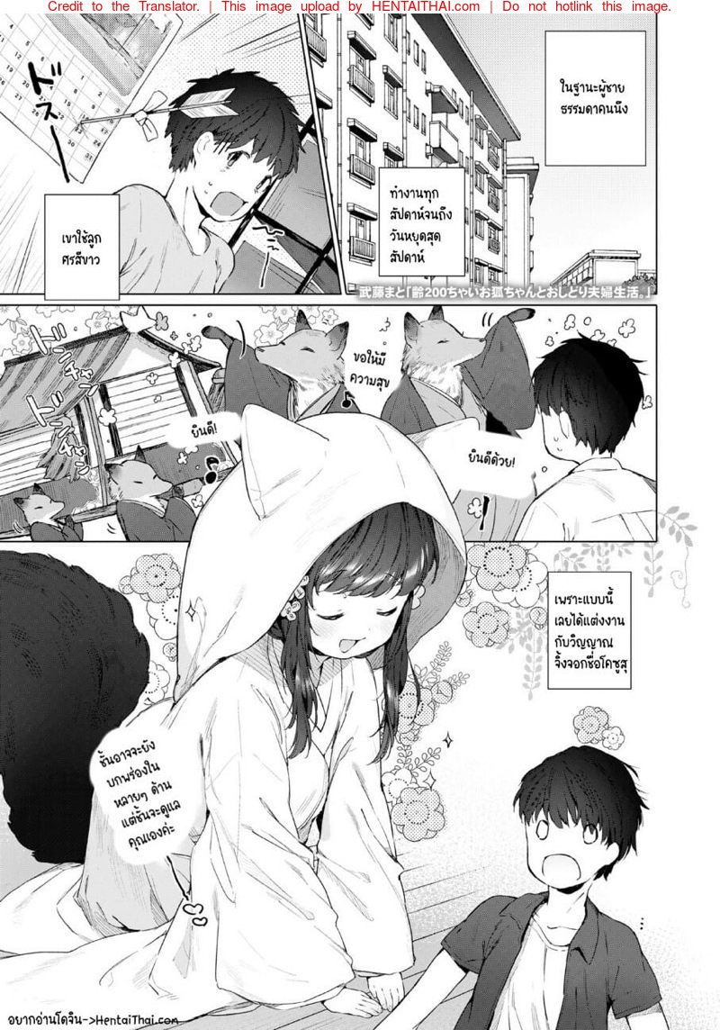 à¸”à¸±à¸šà¹€à¸šà¸´à¸¥à¸«à¸µà¹‚à¸¥à¸¥à¸´à¸ˆà¸´à¹‰à¸‡à¸ˆà¸­à¸