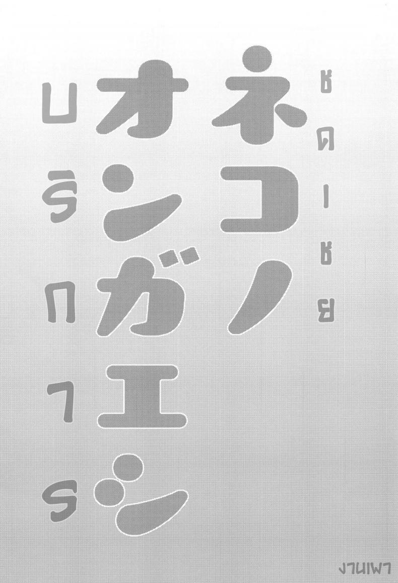 à¸šà¸£à¸´à¸à¸²à¸£ à¸Šà¸”à¹€à¸Šà¸¢ (Meikasai 13) [Kingyo Origin (Kayama Rim)] Neko no Ongaeshi | A Cat's Repayment (Touhou Project)