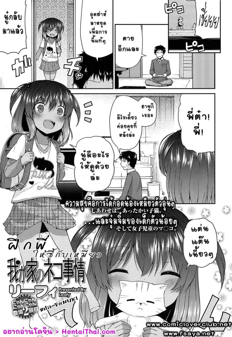 พลังของแมว