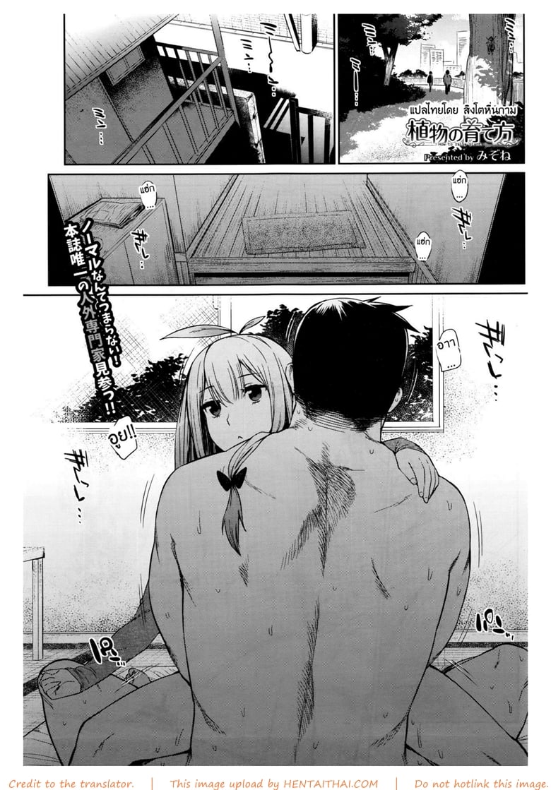 à¸£à¸±à¸à¸•à¹‰à¸™à¹„à¸¡à¹‰à¸§à¸±à¸™à¸¥à¸°à¸™à¸´à¸” à¸Šà¸µà¸§à¸´à¸•à¹€à¸šà¸´à¸à¸šà¸²à¸™