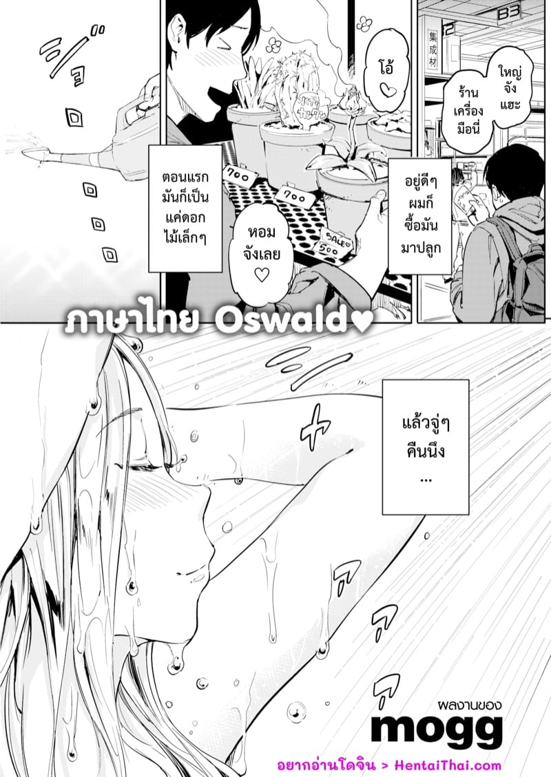 à¸ªà¸²à¸§à¸”à¸­à¸à¹„à¸¡à¹‰