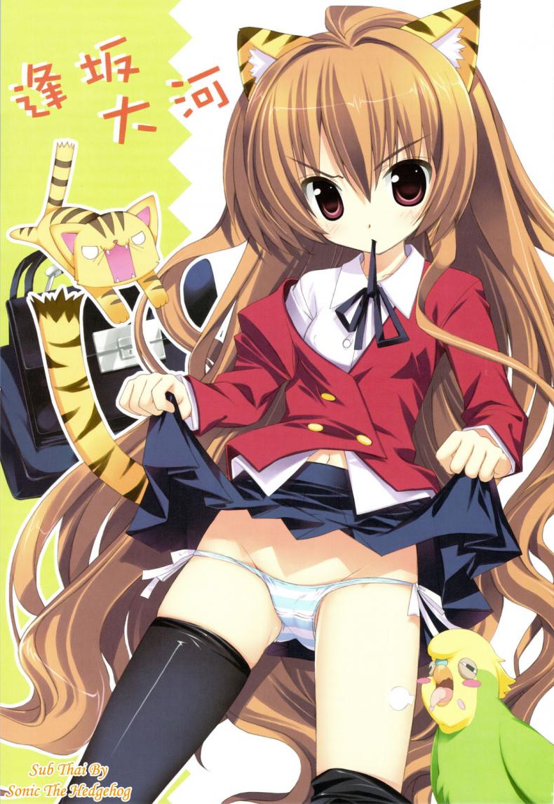 à¸ªà¸²à¸§à¸™à¹‰à¸­à¸¢à¸‚à¸µà¹‰à¹‚à¸¡à¹‚à¸« (C75) [Essentia (Fujima Takuya)] Hiza Nori Tiger (Toradora!)