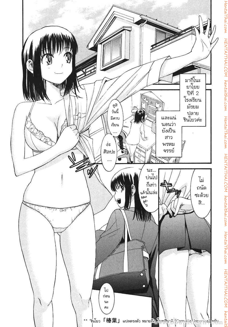 สาวน้อยพิทักษ์จิ้น 11 - ล่ะก็หมุนฟิ้วฟิ้ว