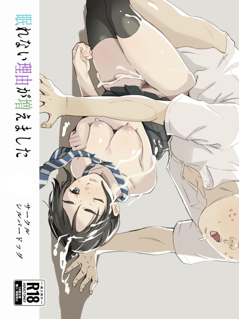 สาเหตุที่นอนไม่หลับ [Silver Dog] Nemurenai Riyuu ga Huemashita (Kimi wa Houkago Insomnia)