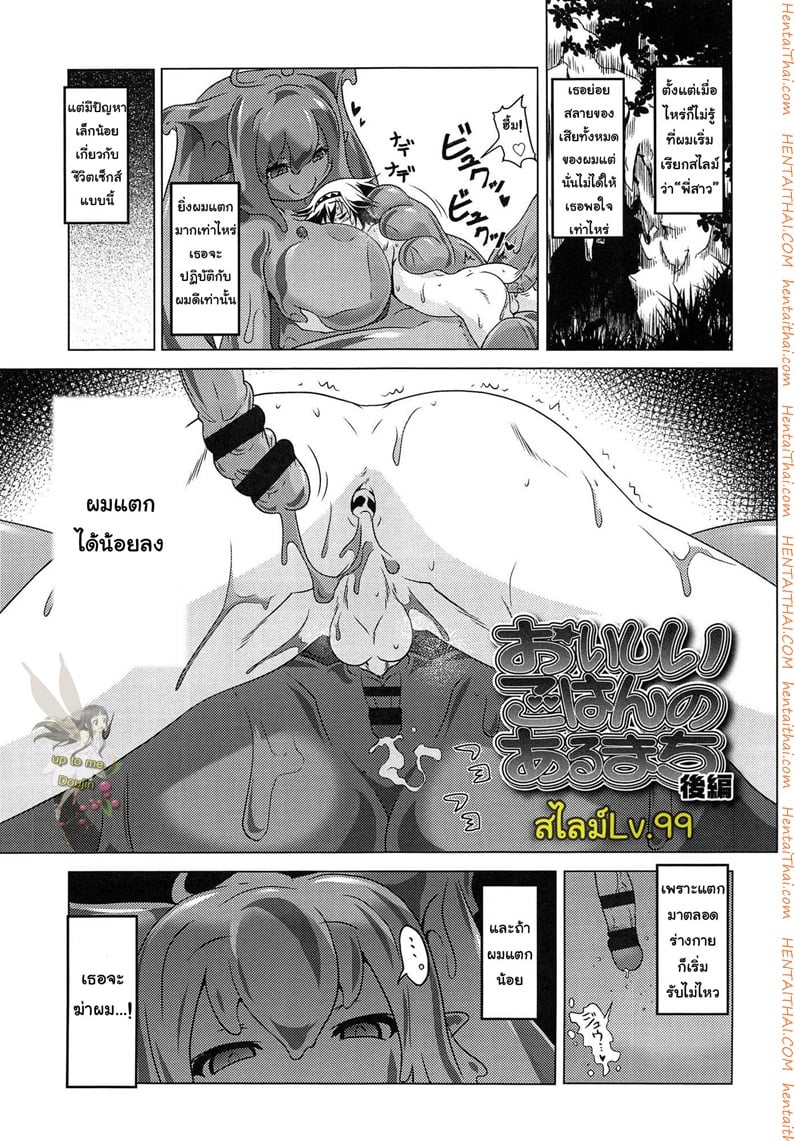 à¸ªà¹„à¸¥à¸¡à¹Œ LV.99 à¸ˆà¸š