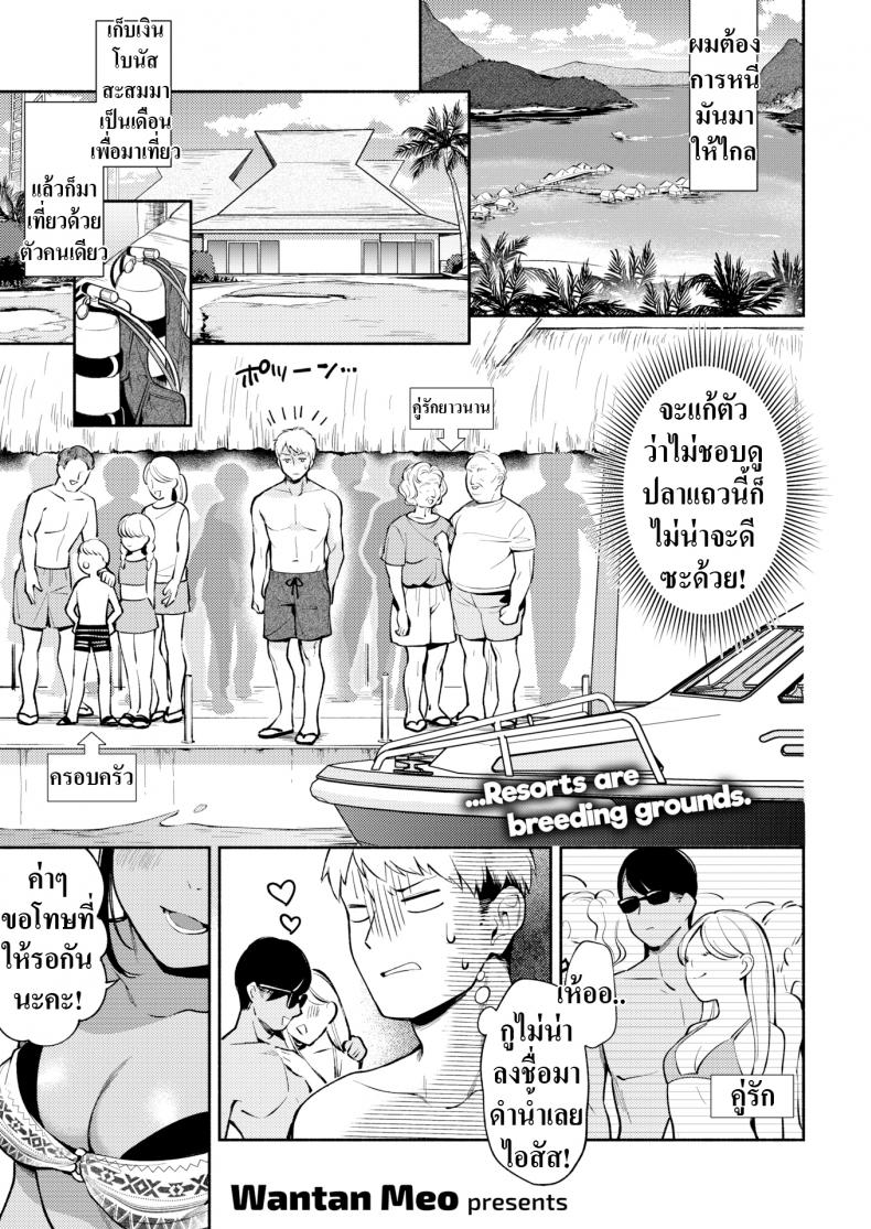 หนีเมืองมาเจอเธอ [Wantan Meo] Tropical Escape
