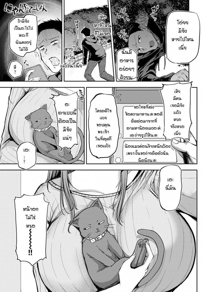 à¸«à¸²à¹à¸¡à¸§à¸ˆà¸™à¹„à¸”à¹‰à¹€à¸£à¸·à¹ˆà¸­à¸‡ [Miyoshi] Nyanptation