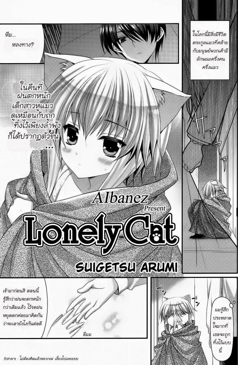 à¹€à¸”à¹‡à¸à¸«à¸¹à¹à¸¡à¸§ [Suigetsu Arumi] Lonely Cat (Comic Potpourri club 12-2012)