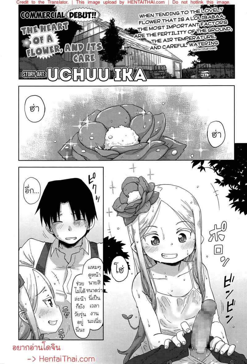 เทคนิคการดูแลหัวใจของดอกไม้