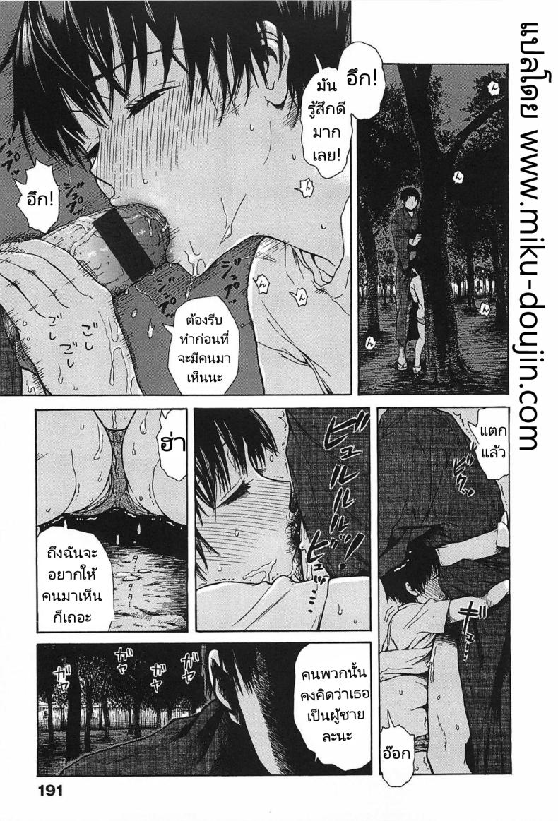 เทศกาลงานดอกไม้ไฟในหน้าร้อน [Ishikawa Shisuke] Summer Festival
