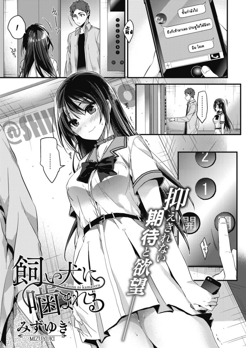 à¹€à¸žà¸µà¸¢à¸‡à¹à¸„à¹ˆà¸ªà¸±à¹ˆà¸‡ [Mizuyuki] Kaiinu ni Kamareru (COMIC HOTMILK 2017-09)