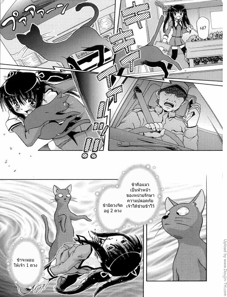 à¹€à¸¡à¸·à¹ˆà¸­à¸™à¹‰à¸­à¸‡à¸ªà¸²à¸§à¸à¸¥à¸²à¸¢à¹€à¸›à¹‡à¸™à¹à¸¡à¸§