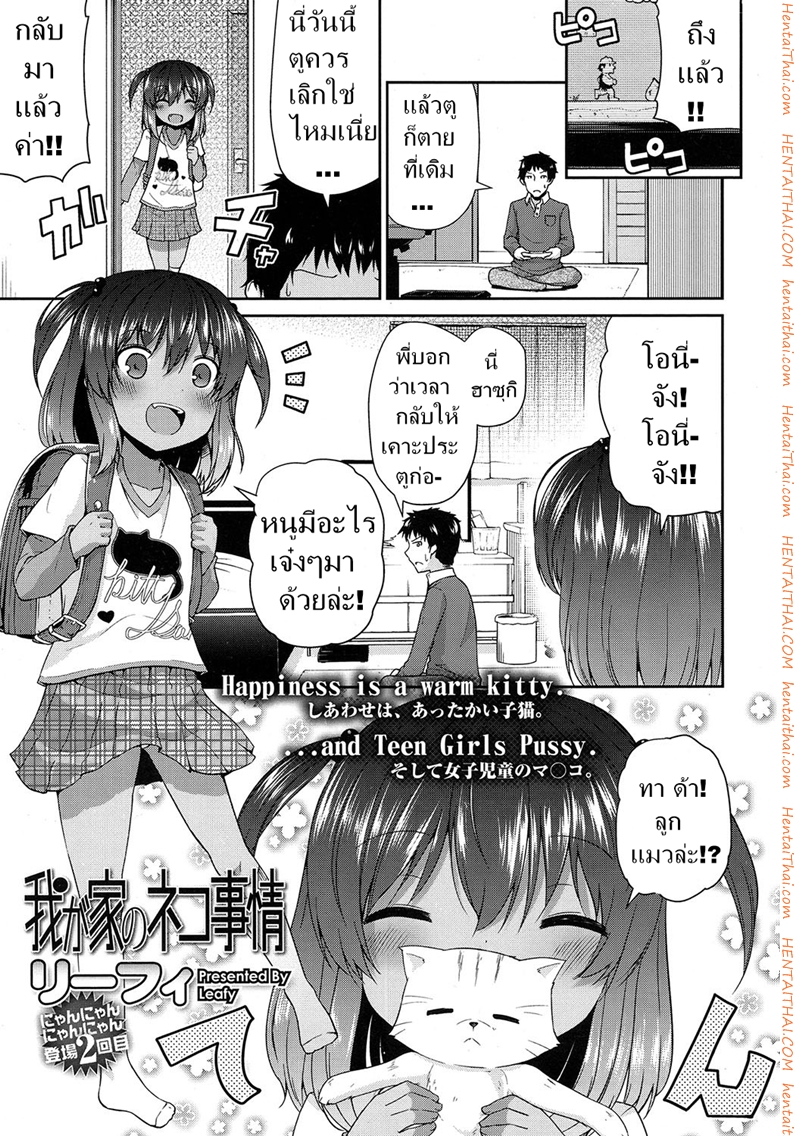 เสียตัวเพื่อแมว