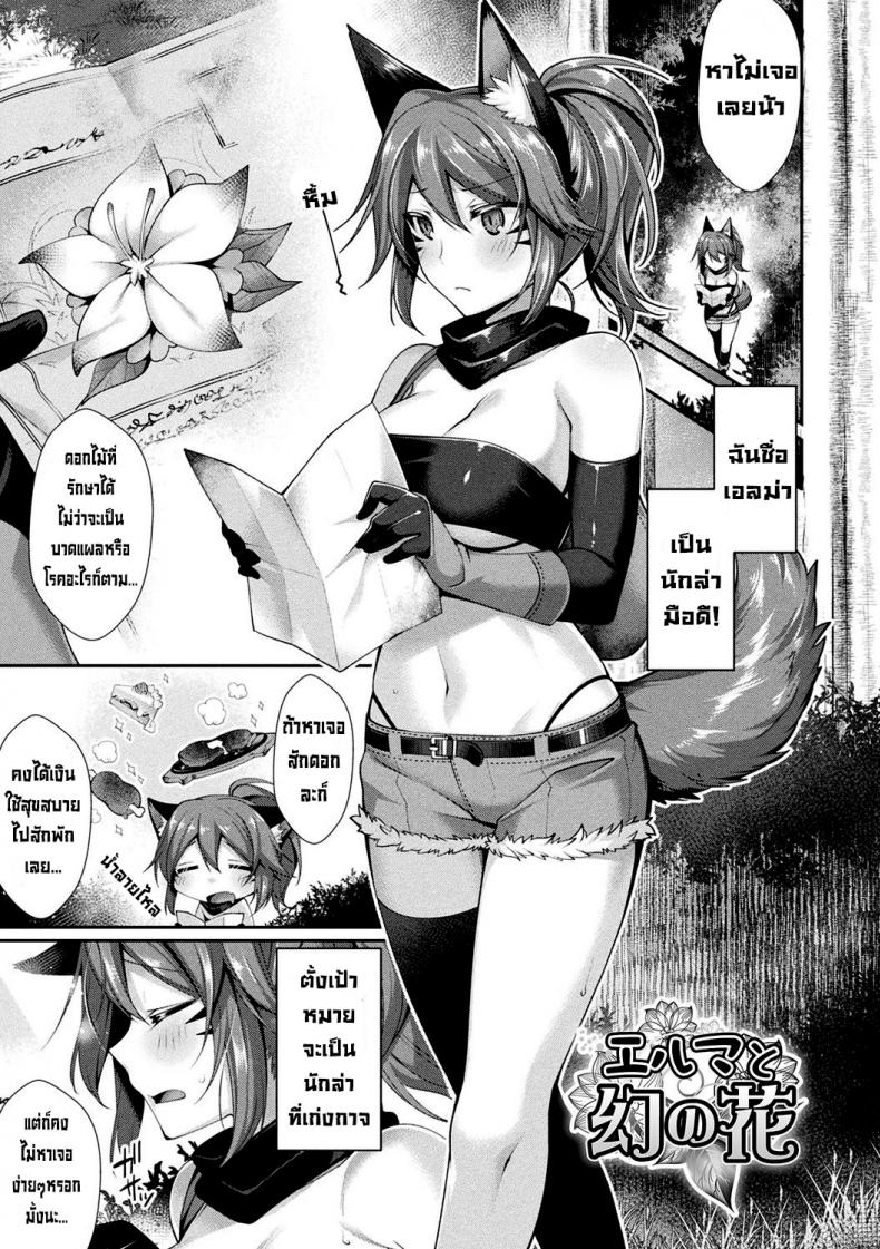 à¹€à¸­à¸¥à¸¡à¹ˆà¸²à¸à¸±à¸šà¸”à¸­à¸à¹„à¸¡à¹‰à¸—à¸µà¹ˆà¸•à¸²à¸¡à¸«à¸² [Konshin] Eruma to Maboroshi no Hana