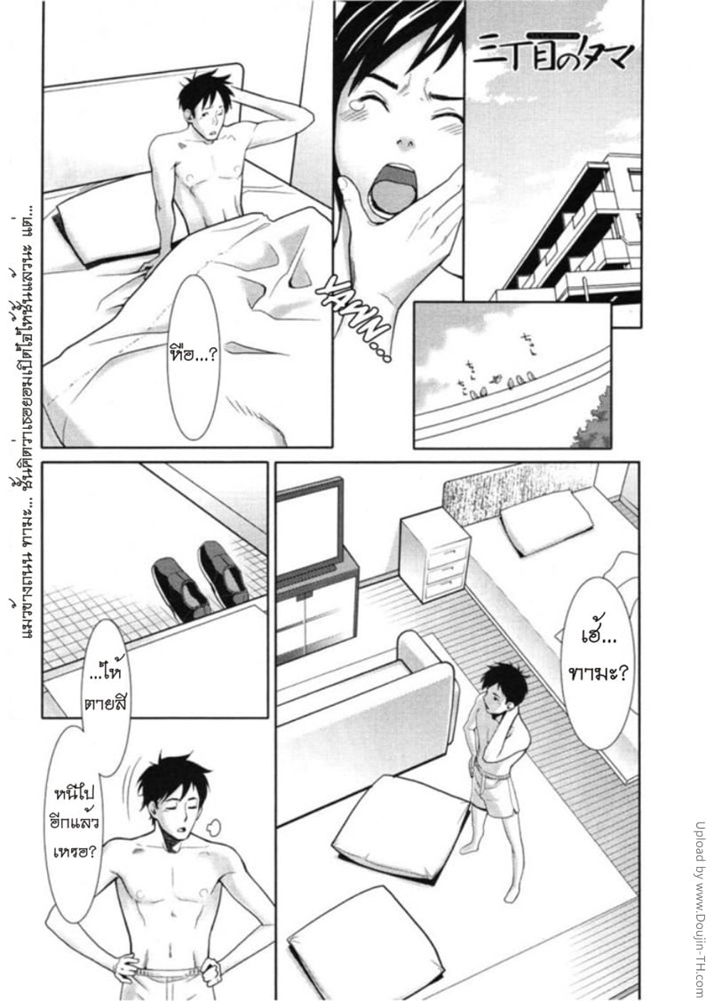 แมวข้างถนน 3 จบ - ที่พักพิง