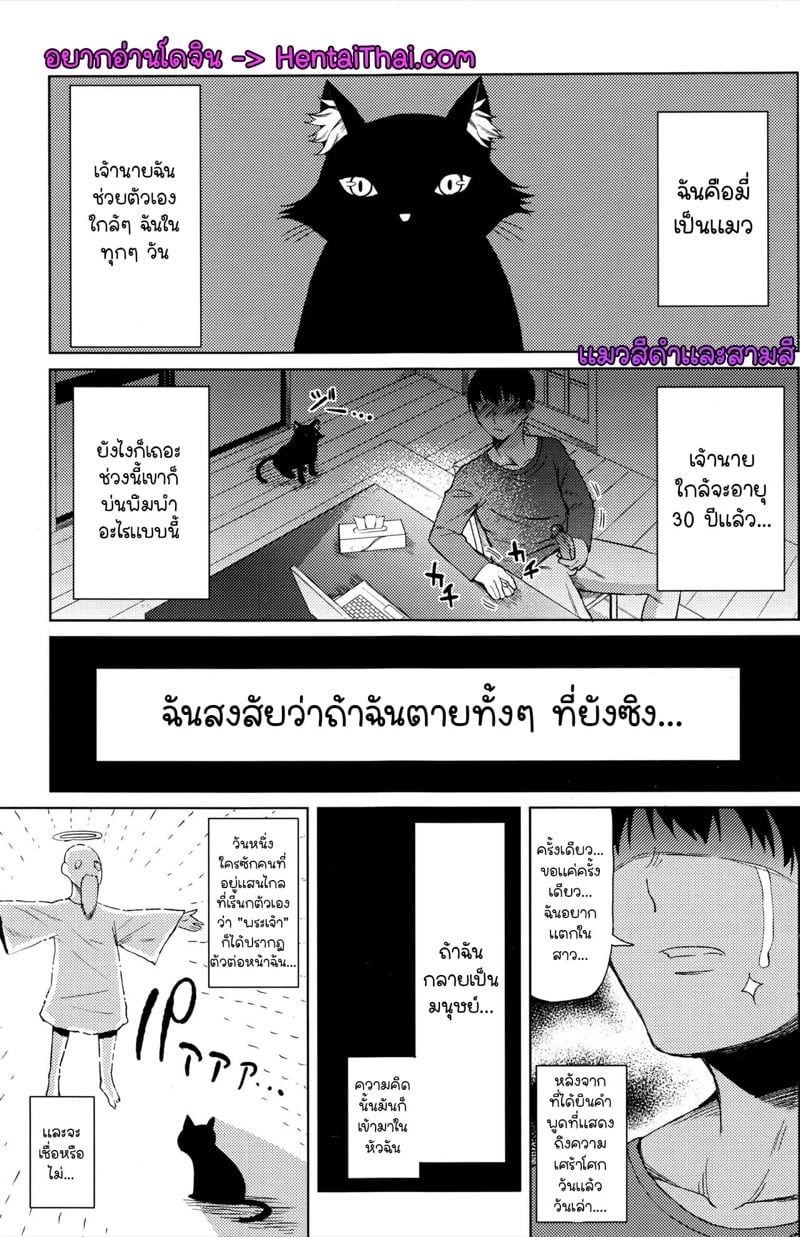 à¹à¸¡à¸§à¹€à¸›à¹‡à¸™à¸„à¸™