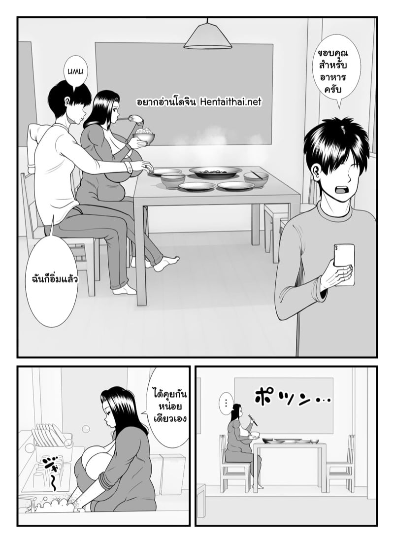 แม่บ้านเป็นแมว 2 จบ