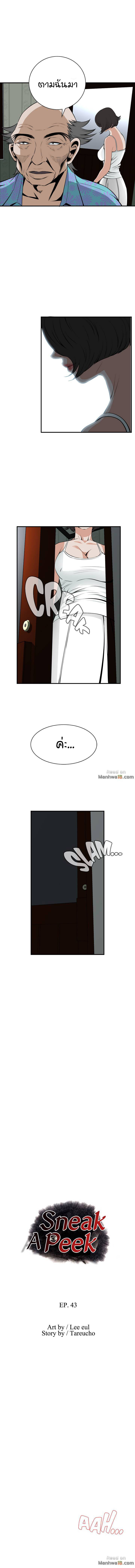 แอบดู 43