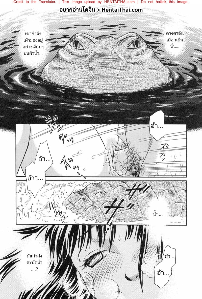 โคตรเข้ พันธุ์(ขย่ม)ดุ