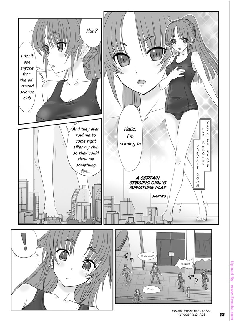 A Certain Specific Girl's Miniature Play