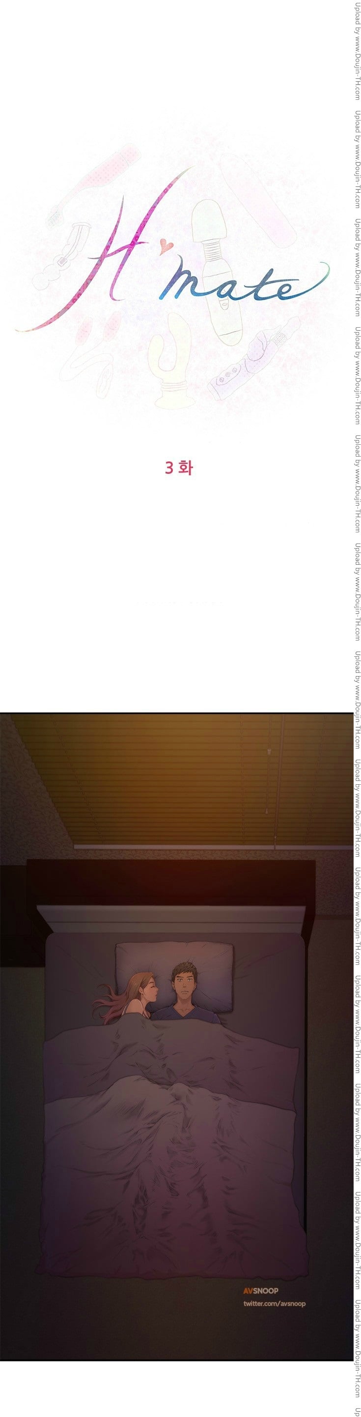 H-Mate 3