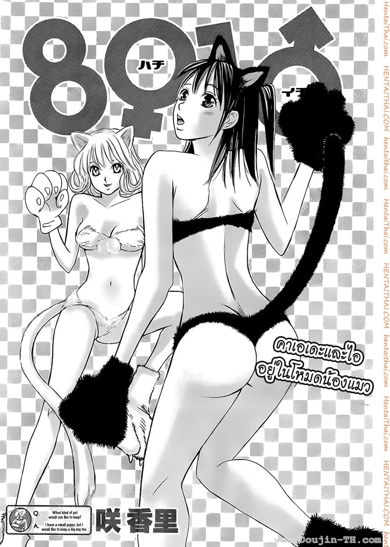 Hachi Ichi 16 - à¸ªà¸²à¸¢à¸à¸™à¹‚à¸›à¸£à¸¢à¸›à¸£à¸²à¸¢