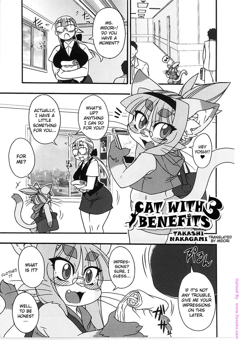 Midori's Neko Kano 3