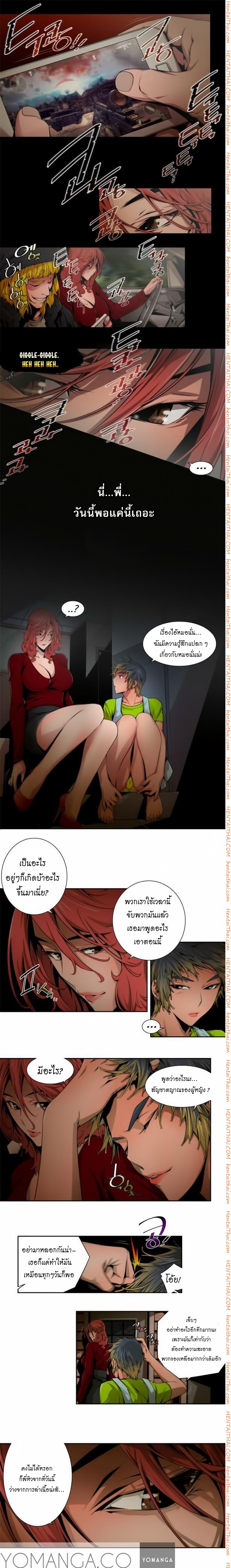 Sow 8